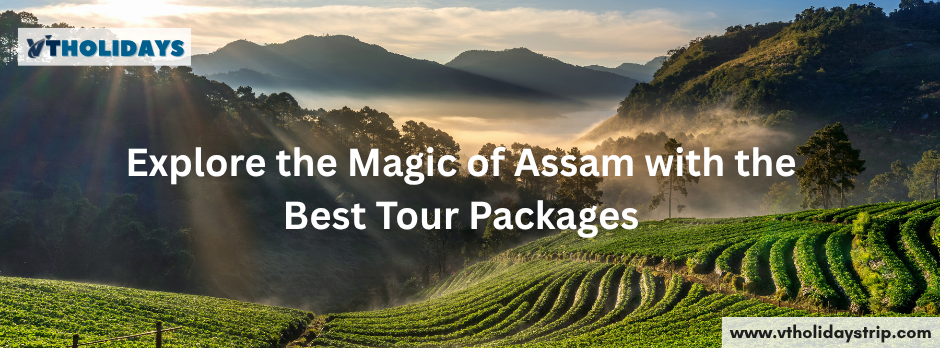 Explore the Magic of Assam with the Best Tour Packages