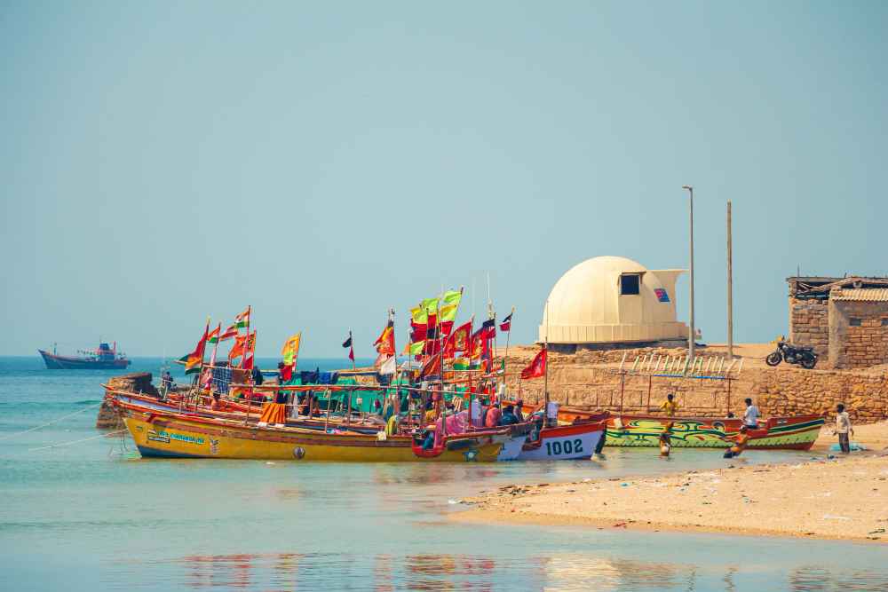 Explore Gujarat with Pilgrimage & Wildlife